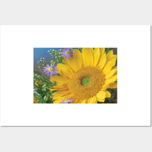 Common Sunflower And Asters North America I Posters and Art